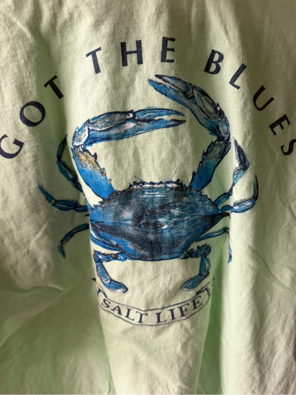 Salt Life Men’s Short Sleeve Pocket Tee - Mint - Picture 4 of 5
